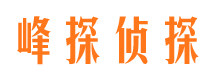 颍州侦探